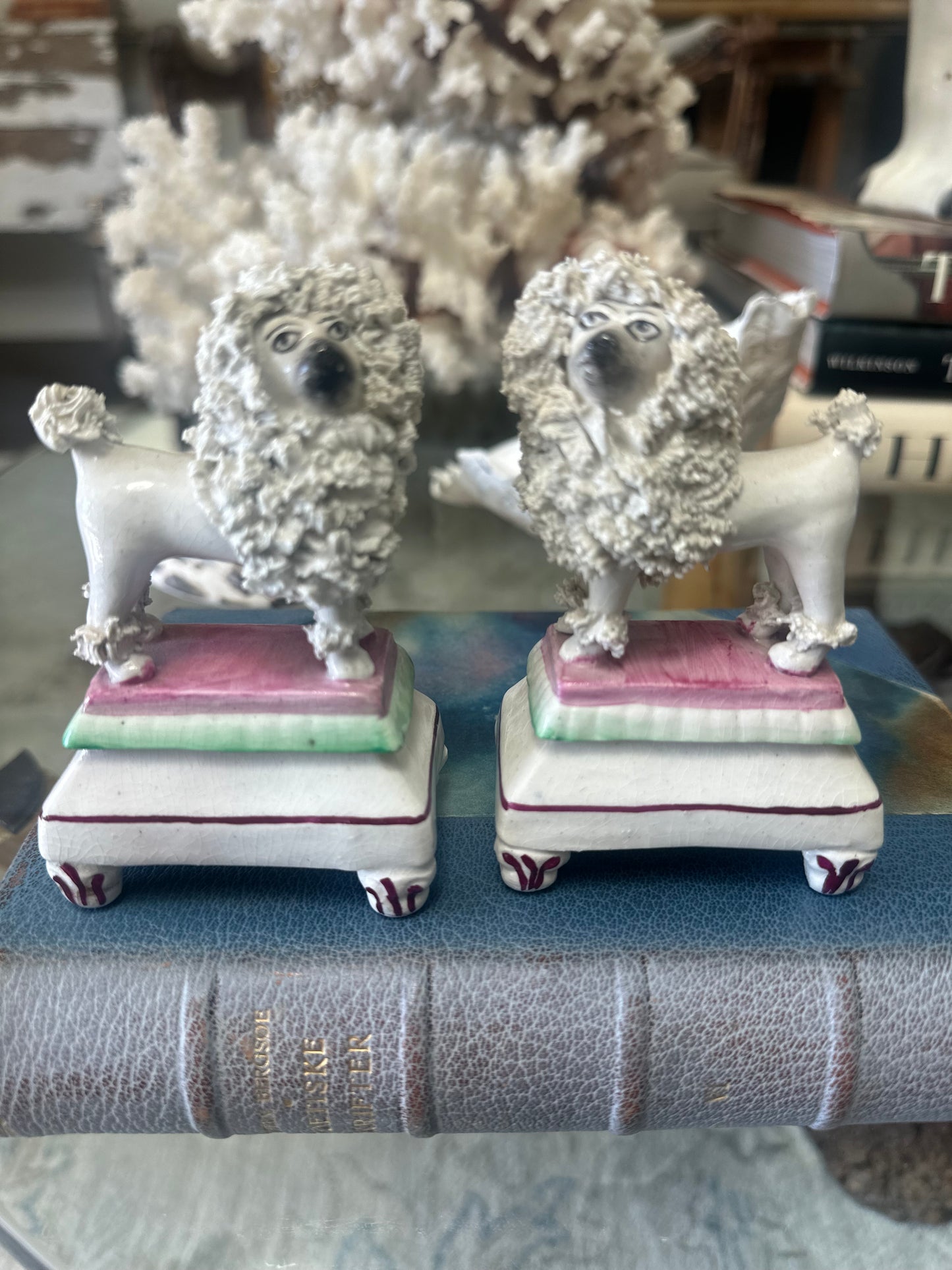 Antique Diminutive Staffordshire Chelsea Confetti Poodles on Pedestals c.1910-1920