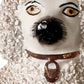 Vintage English Staffordshire Confetti Poodles - a Pair